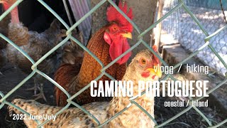 Camino Portuguese inland route - vlogg June 2022. Day 4