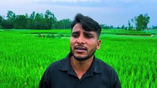 তুমি তো সুখেই আছো বন্ধু । Tumi Too Sukhey Aso। Rabbi Hasan Rinku। Moner Moto Music Official