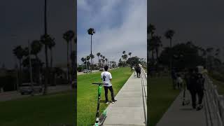 Trained parrots at Long Beach