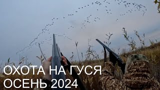 ОХОТА НА ГУСЯ! КАРСИВЫЕ НАЛЁТЫ!