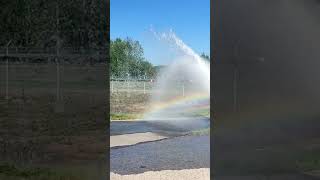 Во всем можно увидеть красоту... 🌈