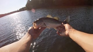 CATCHING Bass with KEITECH SWIMBAITS