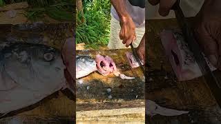 Wow! Live Fast Fish Cutting Skills