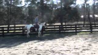 Parker & Mandy, Training/ Jumping