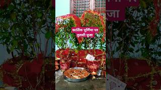 कार्तिक पूर्णिमा की शुभकामनाएं#tulsimata#shorts#shaligramvivahgeet#shortsfeed#bhajan#shortvideo