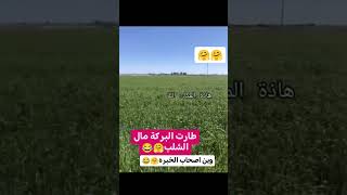 طارت البركة مال الشلب هههه