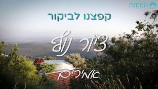 ציור נוף - צימרים באמירים | הפסגה