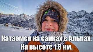 🛷 Катаемся на санках в итальянских Альпах в ноябре на высоте 1,8 км