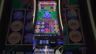 $10 bet, 12 spins and nothing…MSC Meraviglia Cruise Line Casino…#Dragon Link#