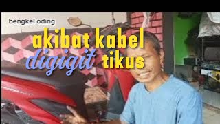 cara memperbaiki motor vario led tidak bisa hidup tidak bisa di starter#@bengkeloding2605