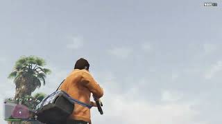 Funny gta v online glitches