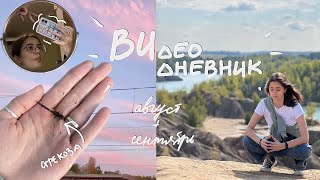 ВИдеодневник: цветы, Тула, опята, собеседования и мелочи из повседневности