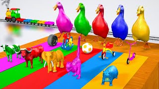 5 Giant Duck Cartoon, Elephant, Cow, Dinosaur, Paint Wild Animals Crossing Fountain Matching Game