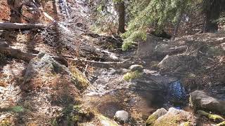 Headwaters of Big Tesuque Creek