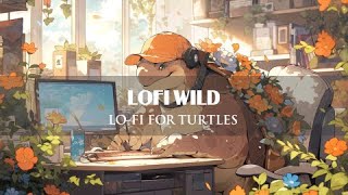 Lo-fi for Turtle 🐢  | Relax With Turtle ~ [ Lofi Chill ~ Lofi Relaxing ] || Lofi Wild