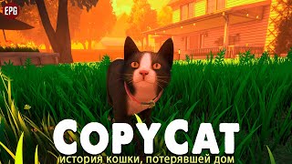 Copycat -  История кошки, потерявшей дом (стрим)