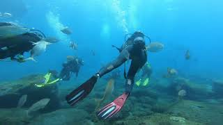 Madeira, Adams First Scuba Dive 2022