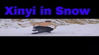 Xinyi Liuhe  心意六合拳 - Chicken Stepping in Snow #shorts #kungfu #xinyi