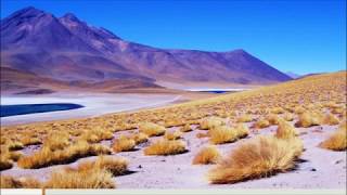 Deserto Florido (Atacama, Chile) - Momento Espírita