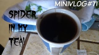 MiniVlog#71-SPIDER IN MY TEA!