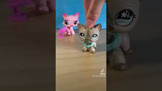 We’re LPSTubers and… 😂 #littlestpetshop #lps