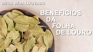 FOLHA DE LOURO BENEFICIOS | beneficio de tudo