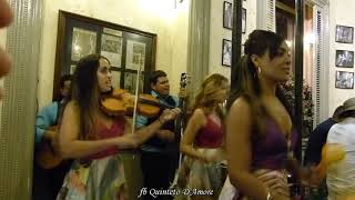 Quinteto D'Amore - Los Campeones de la Salsa --- Floridita, Havana Cuba