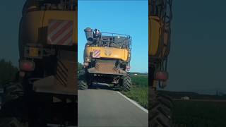 Trebbiatura Mais 2024 #trebbiatura #mais #newholland #large #harvester #harvesting #shorts #music