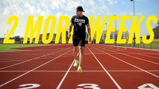 week of running /marathon prep, 2 weeks left/EP10