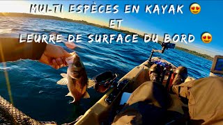 DÉFI PÊCHE : 5 ESPÈCES différentes en Kayak + PÊCHE en SURFACE du BORD 😍