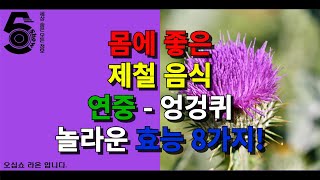 몸에 좋은 제철 음식 연중 - 엉겅퀴 놀라운 효능 8가지!