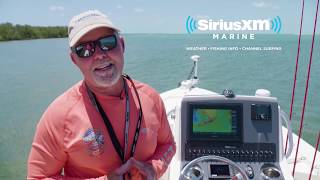 Adjusting Sea Surface Temps to Find Where the Fish are Biting | Florida Insider Fishing Report