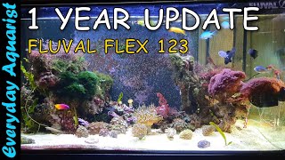 FLUVAL FLEX 123l 32.5G SALTWATER Aquarium 1 YEAR UPDATE