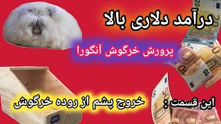 خروج پشم از معده خرگوش