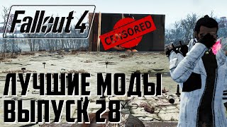 КАКИЕ МОДЫ СТАВИТЬ В 2020: Лучшие моды для Fallout 4 #28