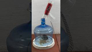 Best mouse trap idea//good rat trap at home #rat #rattrap #mousetrap #shorts