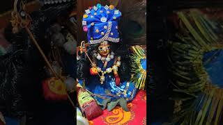 Radhaji🙏💙#viral#viralvideo#viralshorts#trending#trendingshorts#shorts#radha#radheshyam#krishna#kanha