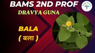 DRAVYA GUNA  2nd Prof  ||  BALA  (बला) ||  ACCORDING TO NCISM  ||  BAMS WALA ||