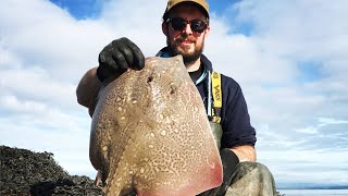 Bristol Channel Fishing Thornback Rays 🎣🎣