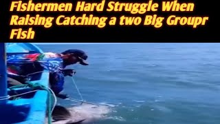 Fishermen Hard Struggle When Raising Catching a two Big Groupr Fish