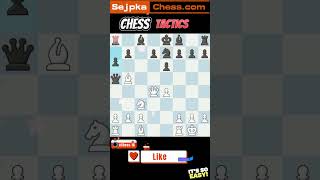 Master Chess with These Quick Tips from Chess.com!