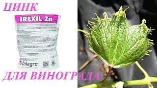 BREXIL-Zn (Цинк) для Винограда