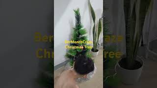 Preparing Christmas Tree for BerMonths #vlog #viralvideo #christmas #christmastree #christmasdecor