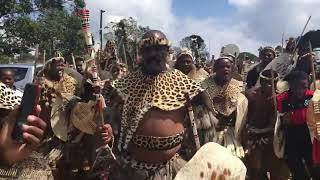 Amabutho The Warriors - Nkonyane kaNdaba KwaZulu-Natal #shorts