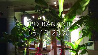 116.🌴🍌I Po Bananie...🍌16.10.2020🍌🌴