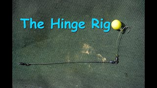 The Hinge Rig