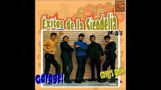 Various - Exitos de la sicodelia Vol. 5 60's Mexican Beat Garage Rock & Roll Music Album Collection