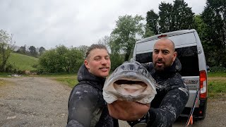 Last day spearfishing in Cornwall, HUGE SEAL ,BIG BASS and a lot of rain (Episode 47)