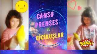 Cansu Prenses, Cicikuşlar ve Kuşlara Fısıldayan Adam