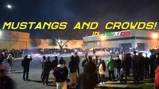 VLOG 69: SECRET MEET IN MEXICO! MUSTANGS & CROWD DO MIX!